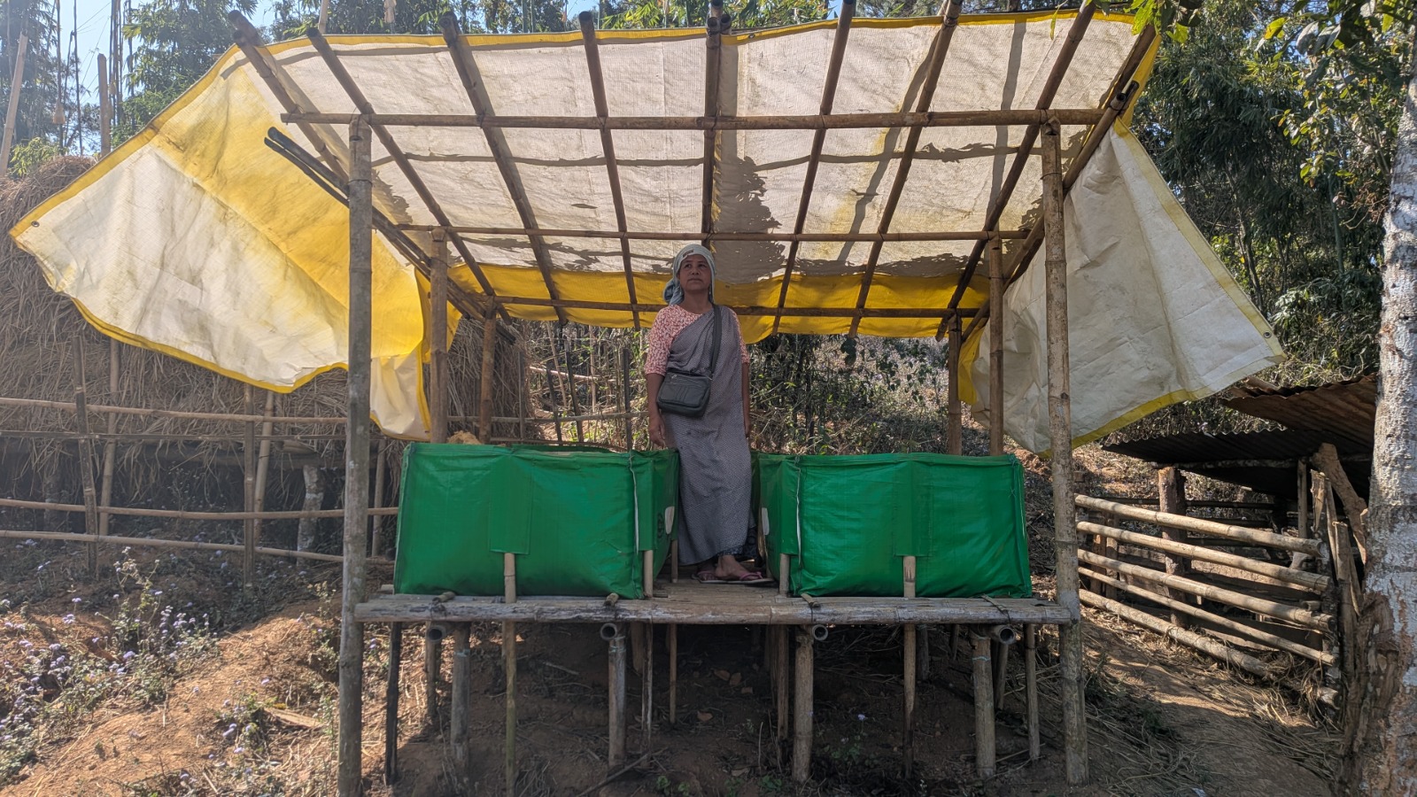 Restoring the Soil, One Bed at a Time